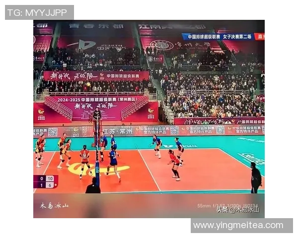 上海排球队状态引发热议球迷对球队表现各执己见