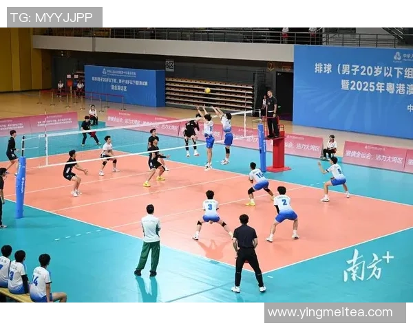 广州排球队在精英赛中的灵活性表现分析与战术探讨