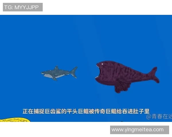 揭秘足球明星巨鲲的真实身份与传奇经历,带你了解这位体育巨星的故事 揭秘足球明星巨鲲的真实身份与传奇经历,带你了解这位体育巨星的故事