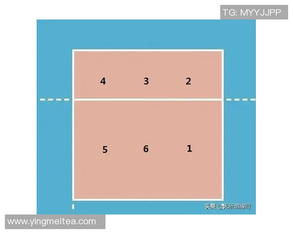 西安排球队战术解析与冠军赛表现评估 西安排球队战术解析与冠军赛表现评估