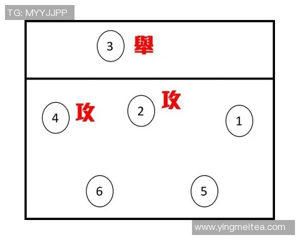 重庆排球队盯防战术解析与排球热点探讨