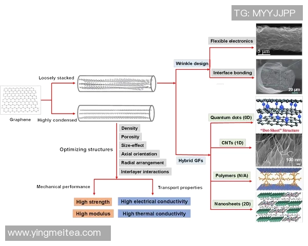 杭州排球队实力分析与发展潜力的深度探讨与展望