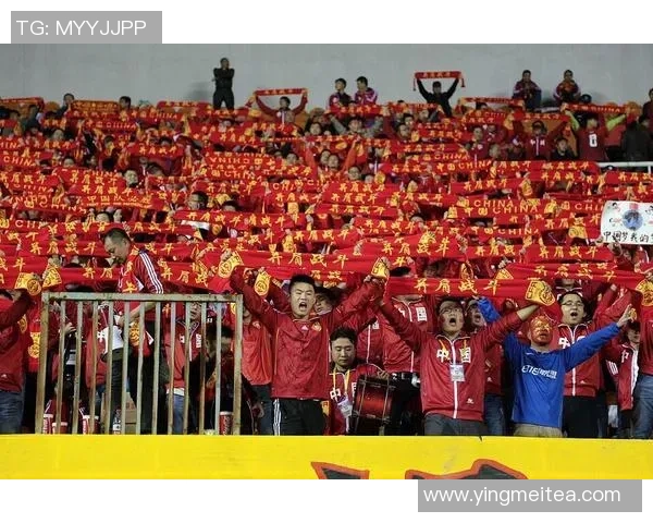 西安羽毛球队在世界杯舞台上的拼搏历程与荣耀追寻