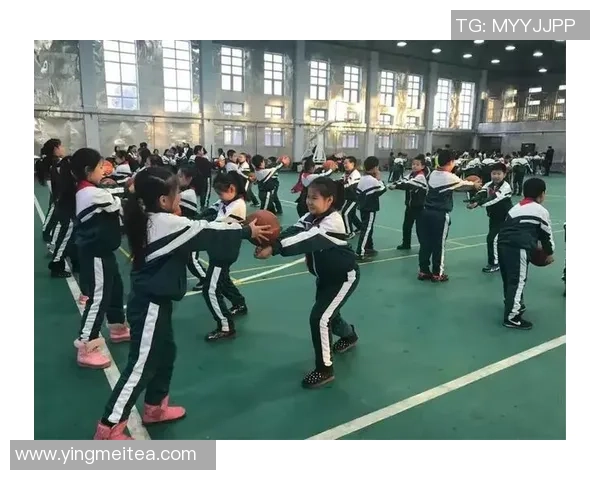 南京排球队心理素质探讨：提升竞技表现的关键因素与策略分析