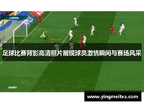 足球比赛背影高清照片展现球员激情瞬间与赛场风采