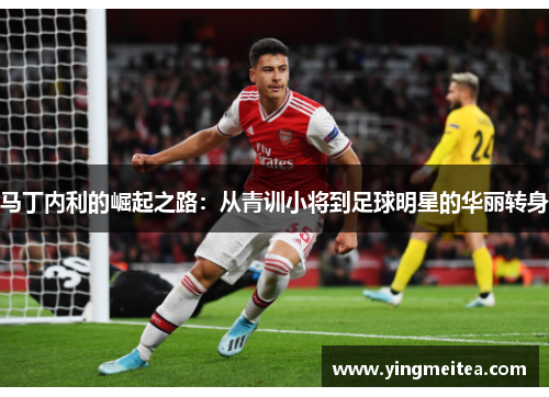马丁内利的崛起之路：从青训小将到足球明星的华丽转身